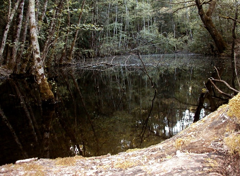 Valle del Farma e Stagno della Troscia: luoghi meravigliosi!